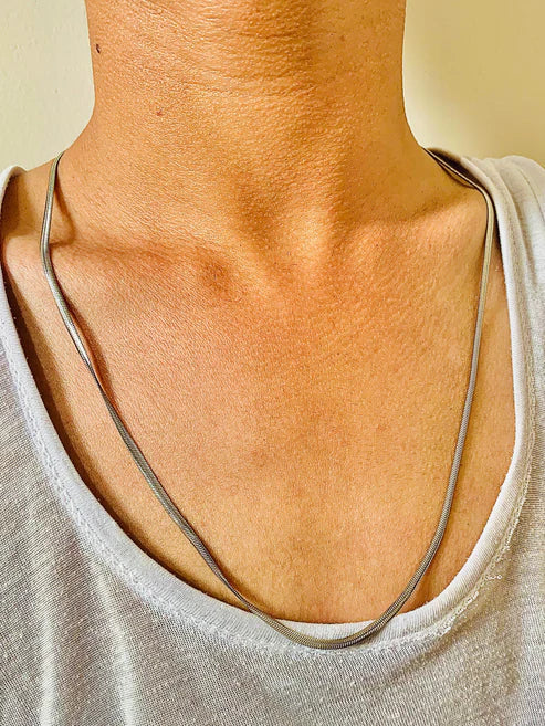 "Snake Stainless Steel Chain With Free Delivery"