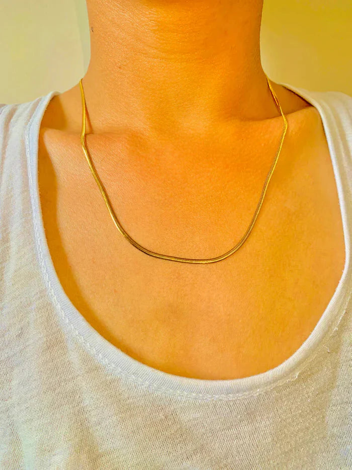 "Snake Stainless Steel Chain With Free Delivery"