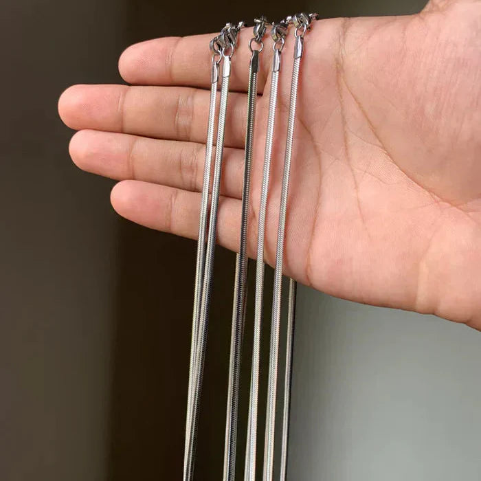 "Snake Stainless Steel Chain With Free Delivery"